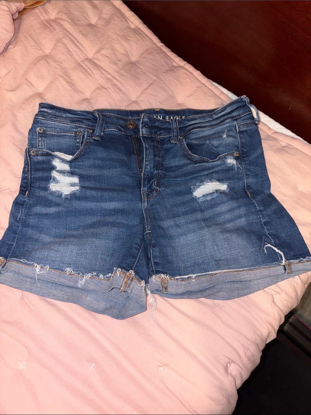 American Eagle Outfitters Medium Wash Distressed Jean Shorts